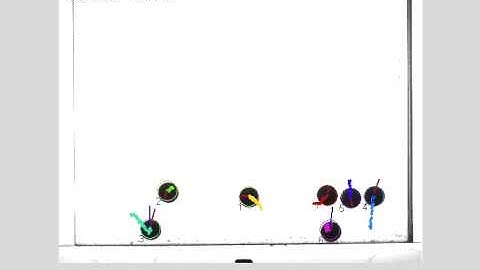 exp1yellowballs3.avi