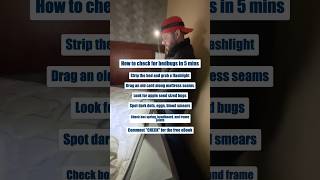 How To Check For Bedbugs In 5 Minutes #shorts