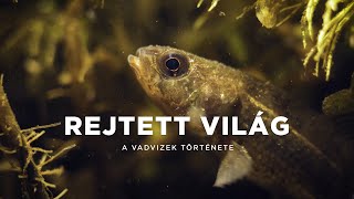 REJTETT VILÁG: A VADVIZEK TÖRTÉNETE | Magyar természetfilm