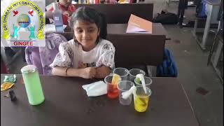 STEM Activity - Walking Water Rainbow by the Grade II little champs