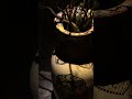 NÔM - Cultural Dining: 𝐀 𝐆𝐥𝐚𝐧𝐜𝐞 𝐀𝐭 𝐍𝐎̂𝐌