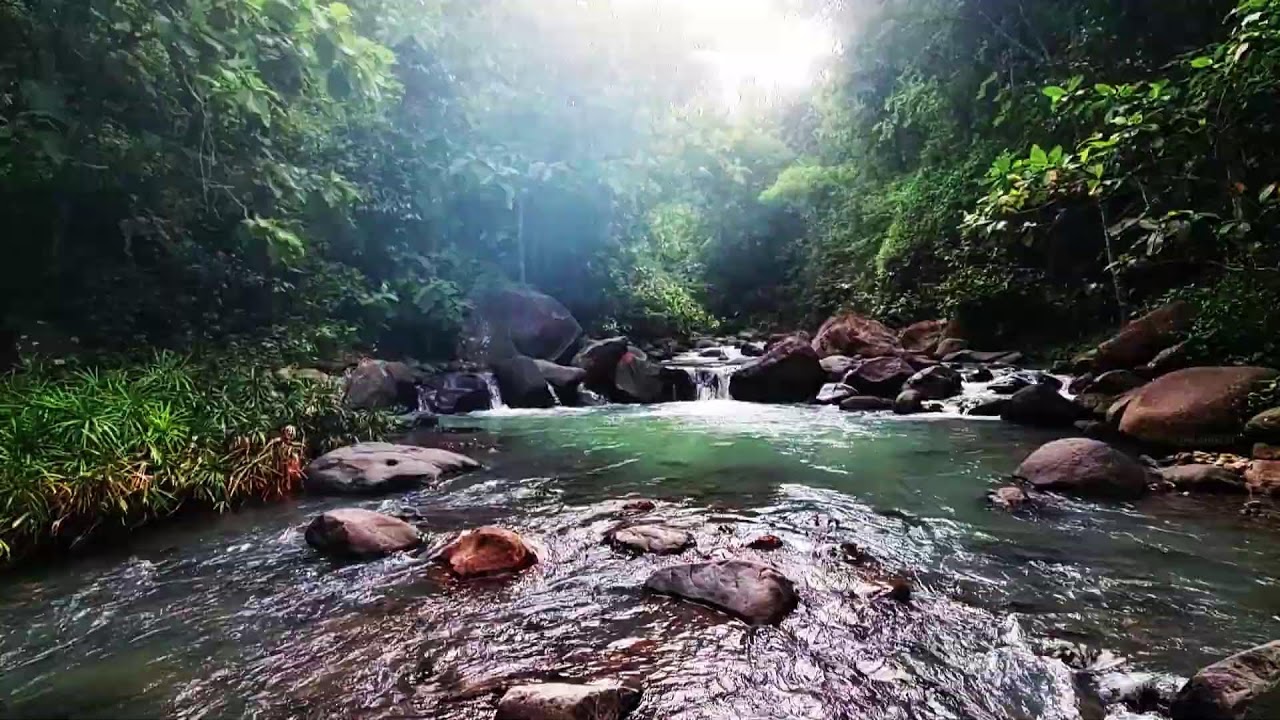 Calming River & Birdsong ASMR: Natural Relaxation for Sleep Yoga & Focus