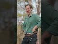 Wrangling Australia's most dangerous land snake