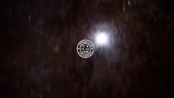 DUSTY - Reverie (Official Video)