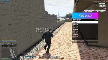 FiveM Hack | Lua executor + bypass | Money options and more VRP ESX | Rena Menu Lua