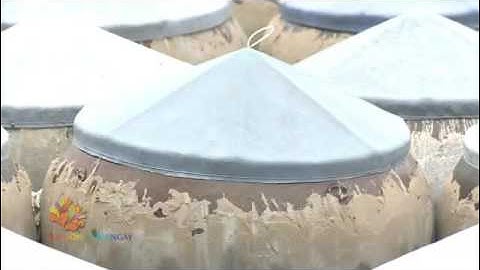 Nước mắm Phan Thiết ngon nhất - Cách làm nước mắm nhỉ Phan Thiết đặc trưng