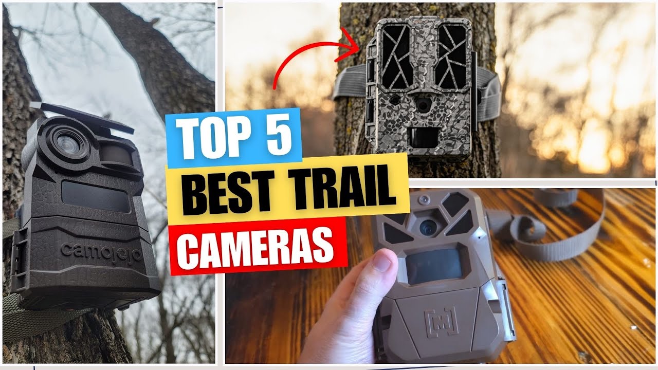 Best Trail Cameras (Top 5 Picks) - for Wildlife and Security in 2025 ...