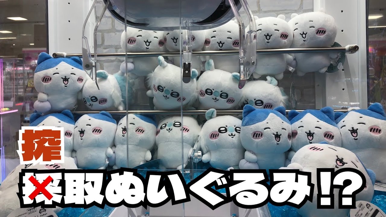 クレーンゲーム】『ちいかわ×サンリオキャラクターズ』ドールに