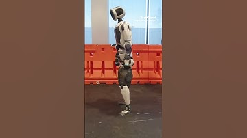 Boston Dynamics