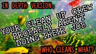 The Cleanup Crew In Your Tank Isn't Working Like You Think it. So, What Now?  In Depth Solutions