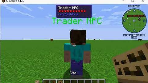 [FREE] CustomNPCs - Item Requirement Script