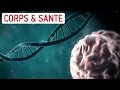 A quoi sert loutil molculaire crispr cas9   interview du mag de la science