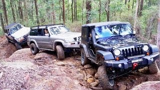 Jeep vs Nissan vs Toyota @ Ultratune Ourimbah