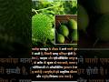 सबको पता होनी चाहिए।सब्जियों के बारे में अनोखे तथ्य। #motivation #facts #vegitables #foodfacts ।