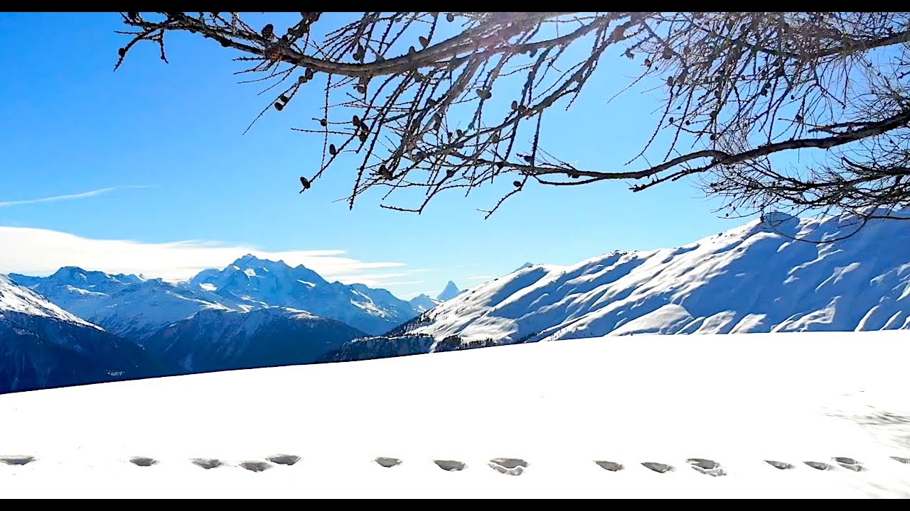 Winter Snow 雪景色 En El Corazon Del Invierno Y Sus Nevadas Youtube