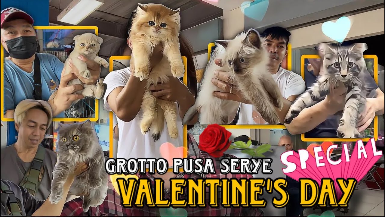 VALENTINE DAY SPECIAL/FEBRUARY 15 2026/GROTTO PUSA SERYE UPDATE