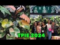 Aroid greenhouses tpie 2024  tropical plant international expo highlights