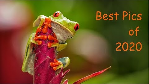 Best Pics of 2020 by    "A&A Emotions by Impressions"