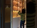 Video Image