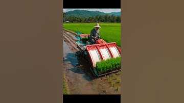 #AI Rice Transplanter 🚜 | Smart Farming in Paddy Fields #farmer #2025