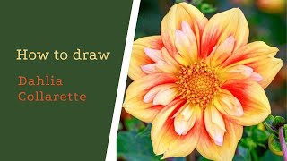 How to make authentic Plain Dahlia at home easily