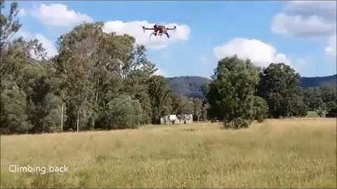 Vision-Based Target Finding and Inspection of a Ground Target Using a Multirotor UAV System