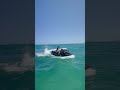 I encountered a SHARK and sprayed it with W 🤣
