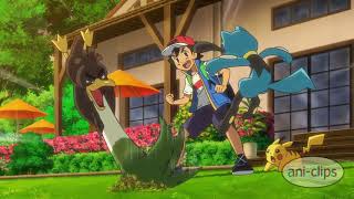 Ash Catch Galarian Farfetch’d - Pokemon Journeys