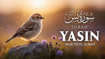 Surah Yasin (Yaseen) سورة يس | This MARVELOUS Voice will TOUCH Your HEART إن شاء الله | Ikhlas  TV