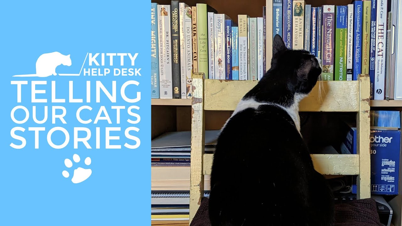 Telling Our Cats Stories YouTube