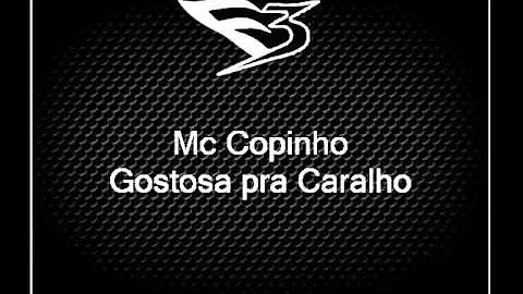 Mc Copinho - Gostosa pra Caralho é as Novinha da Alta [DJ MIBI]