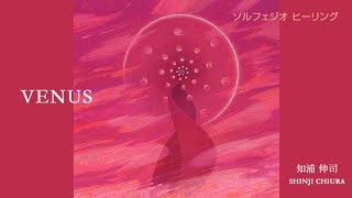 知浦 伸司 VENUS No.1