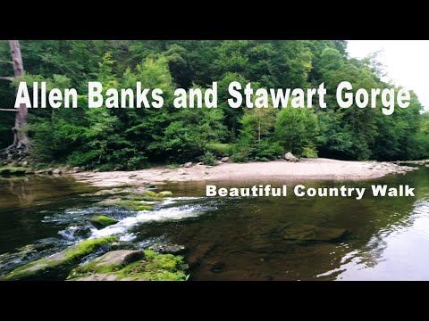 Country Walk To Allen Banks and Stawart Gorge - Northumberland