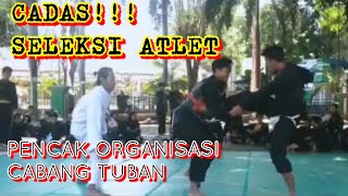 Selekcab Pencak Organisasi Cabang Tuban 2020