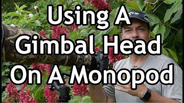 Using A Gimbal Head On A Monopod