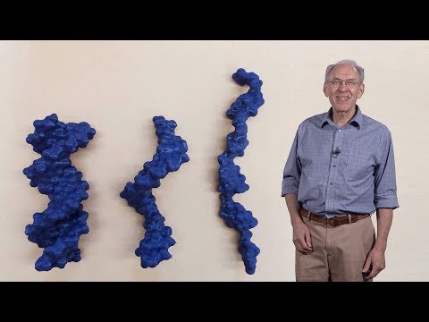 Видео: Дидезоксирибонуклеотид яагаад өсөн нэмэгдэж буй ДНХ-ийн хэлхээг тасалдаг вэ?