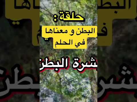 منطقة البطن المعدة في الحلم