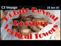 Hydroponic Potato Reveal:  Vertical Tower