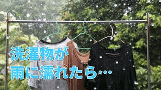 洗濯物が雨に濡れた時の対処法と予防方法！