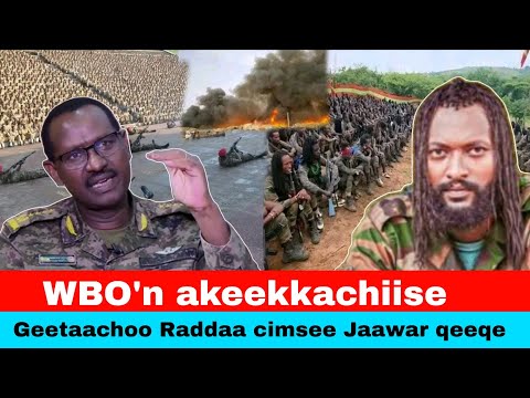 Oduu WBO N Akeekkachiisuu Geetaachoo Raddaa Qeeqa Jaawariif
