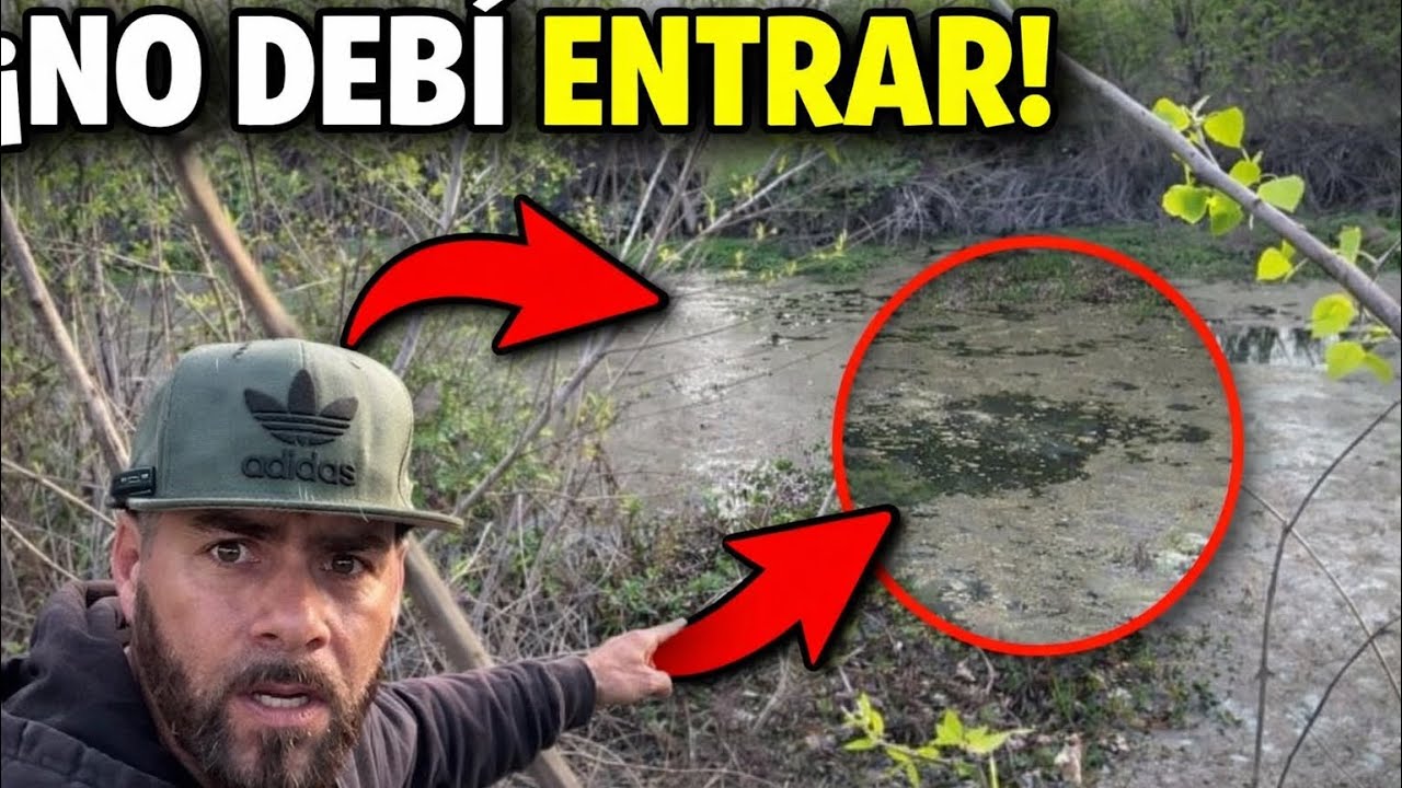 Entré Solo a Este Lugar Rodeado de Pantanos Fue Mala Idea