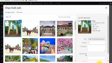 full code website giới thiệu tour dulich đẹp chuẩn seo wordpress