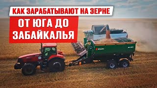 Где теряются миллионы на зерне | Как заработать в 2024 | Уборка урожая |Сельхозтехника