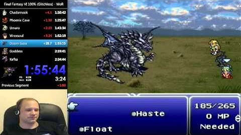 Final Fantasy VI Speedrun Blooper: Why Veldt Manipulation is a Good Thing