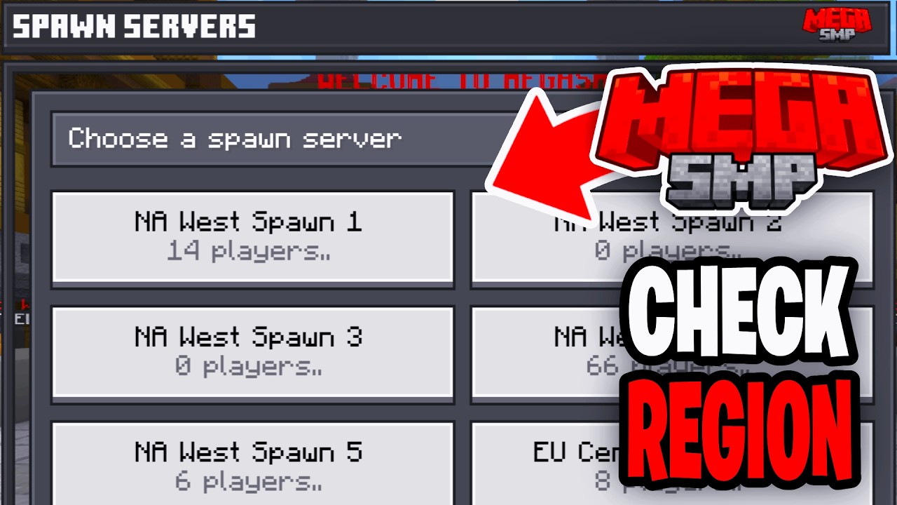 How To Check Which Server Region Your On In Mega SMP In Minecraft ...