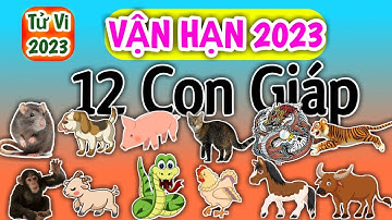 Vận Hạn của 12 Con Giáp trong năm 2023 chi tiết - Vận Hạn 2023 @tuvitannien