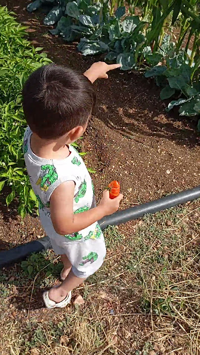 Mısırı ham yapcakmış😱😱😱 #keşfetteyiz #cutebaby #birgünüm #baby #automobile #cute #funny