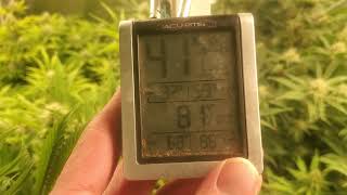 Cannabis Grow Week 4.5. AutoPot Grow - Trouble in Paradise