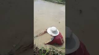 Amazing fishing in river