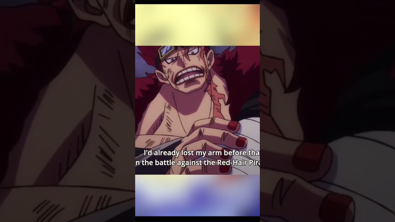 LUFFY VS KID dynamics                                